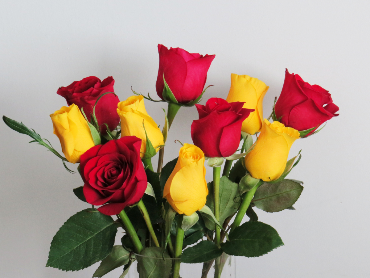 The Best Mothers Day Flower Bouquets for New Moms
