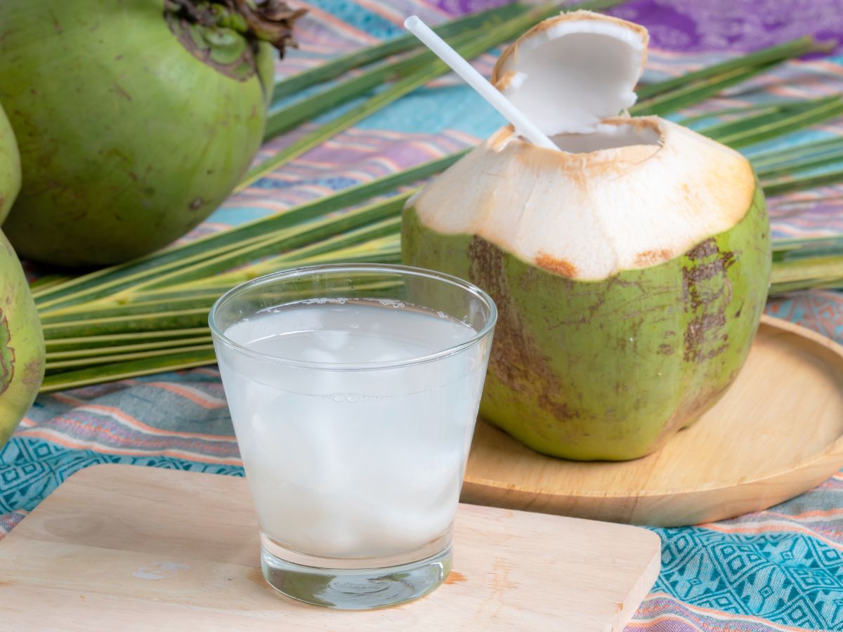 Facts: is coconut water good for pregnant women